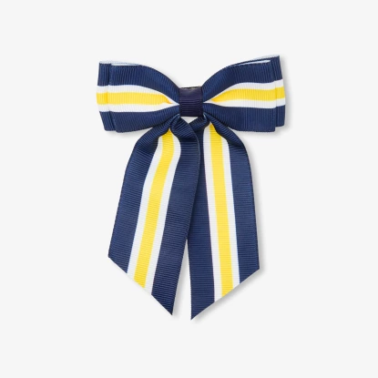 Dívka velká spona do vlasů